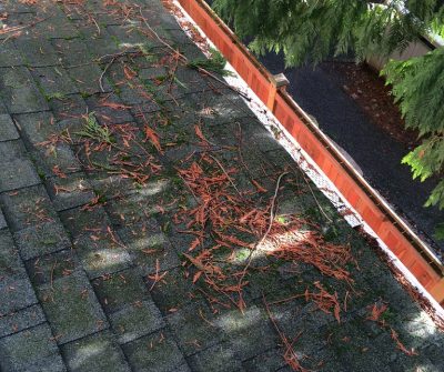 Roofs & Gutters Cleaning